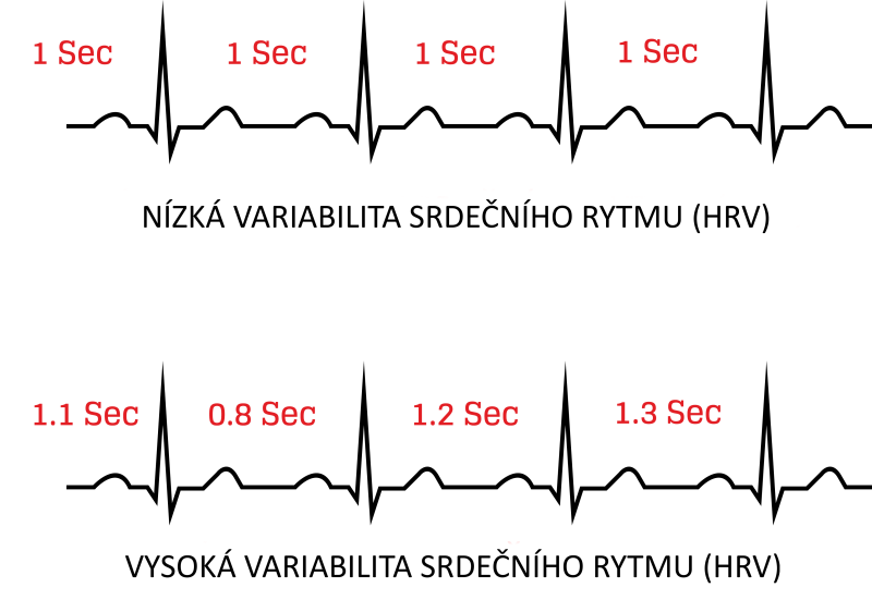 Co je to HRV?