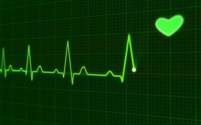Co je to Variabilita srdečního rytmu (HRV)?