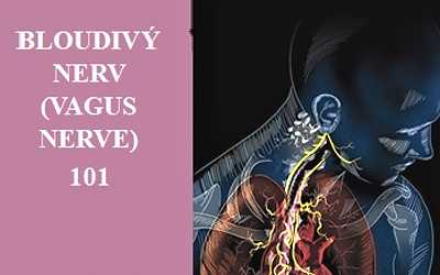 Bloudivý Nerv (Vagus Nerve)