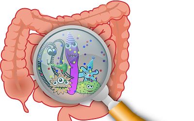 Střevní mikrobiom může ovlivňovat bolest u fibromyalgie